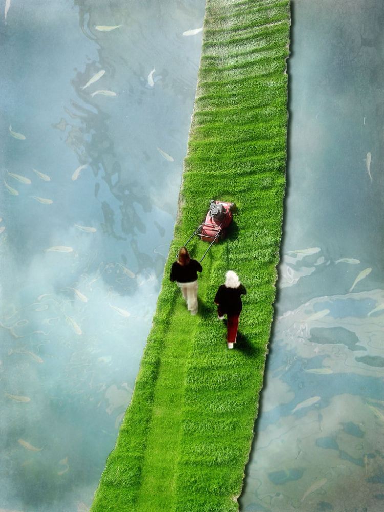 Vertical Lawn Show-Cut Short